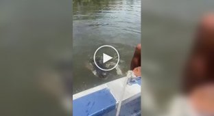 What a good boy