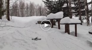 Удачный лыжный трюк
