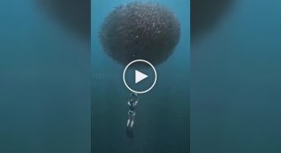Красивое видео из глубинки моря