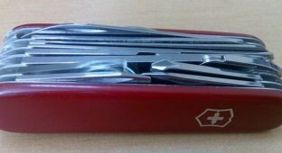 Нож Victorinox SwissChamp (12 фото)