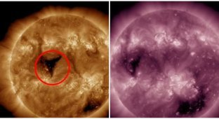A hole 20 times larger than the Earth was noticed in the Sun, which threatens us with magnetic storms (2 photos + 1 video)