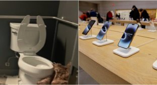 Robbery of the century through a hole in the toilet: thieves carried out more than 400 iPhones (3 photos)
