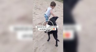 Пес помог мальчику сделать первые шаги