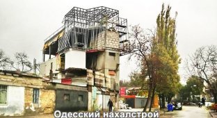 Прикольные картинки. Выпуск 3234
