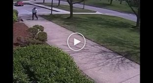 Нападение гуся на американского полицейского попало на видео