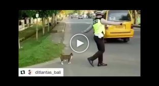 Добрый полицейский провел кота через дорогу