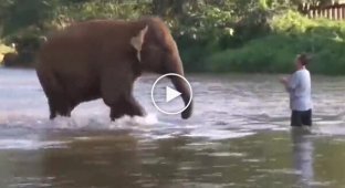 Познайомтеся - це Дерек Томпсон