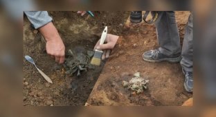 A “magic” phallus-shaped talisman that protected against the evil eye was found in Serbia (4 photos)