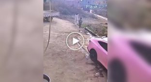 Петарда догнала девушку