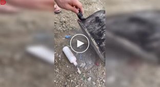 Эксперимент, который вышел из-под контроля