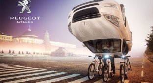 Велосипеды Peugeot (18 фото)