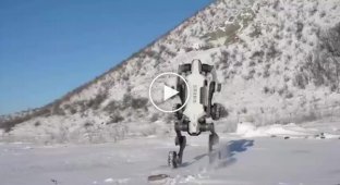 Китайцы протестировали робособаку в экстремальных условиях