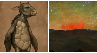 5 маловідомих цікавих фактів, які змушують по-новому поглянути на наш світ (12 фото)