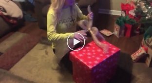 Трогательная реакция девушки, получившей в подарок на Рождество щенка