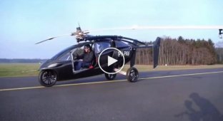 Device 2 in 1: both rides and flies