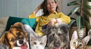 A Chinese woman with many children left $2.8 million to her pets (5 photos)