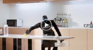 Autonomous assistant for the home