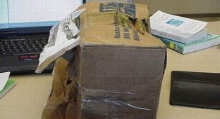 Почему не надо заказывать технику с доставкой по почте (19 фото)