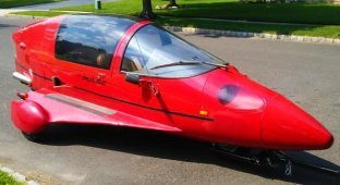 Хотели стать лётчиком-асом, но не прошли медицинскую комиссию? (2 фото)