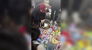 Модель для съемок одежды для домашних питомцев