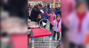 Китайські п'ятикласники отримують рибу в якості нагороди за хороші оцінки