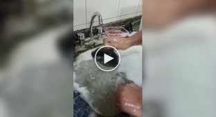 Оригинальный способ прочистки раковины от засора