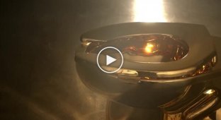 A hundred-kilogram gold toilet was sold at auction