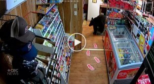 Медведь стащил пачку мармелада из магазина