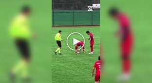 A Football Player Hit a Seagull in Flight