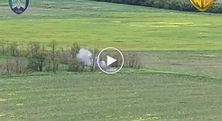 Ptakh Madyar attacked 3 Russian attack aircraft, which hoped to reach a shelter in one of the forest belts