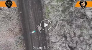 In the Novopavlovsk direction, a Russian soldier vainly begs for mercy from a Ukrainian drone operator