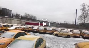 В Москве обнаружили кладбище желтых такси видео