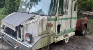 Dogeford: a very strange truck was put up for sale on an Internet flea market (8 photos)