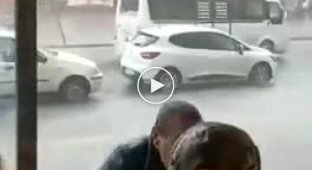 Навіть цей зайшов сховатися від поганої погоди