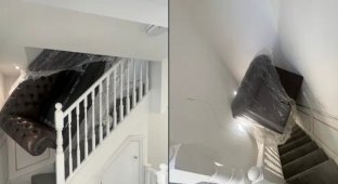 Unsuccessful move: movers tightly locked the stairs with a sofa (5 photos)