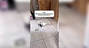 A girl gave a guy a remote-controlled Porsche