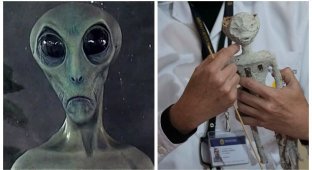 У Перу спростували інопланетне походження мумій, знайдених у пустелі Наска (7 фото)