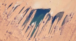 Озера в самом сердце пустыни Сахара (15 фото)