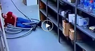 An insidious snake sneaked up on a worker unnoticed