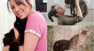 К британке вернулся одноглазый кот пропавший 11 лет назад (6 фото)