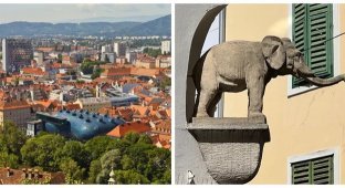 Слон у ніші: історія про найпершого слона Граца (11 фото)