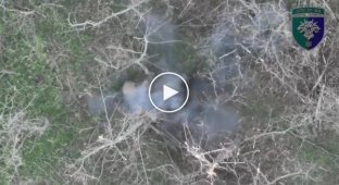 Уцелевший после сбрасываний с дрона оккупант застрелился из автомата на Покровском направлении