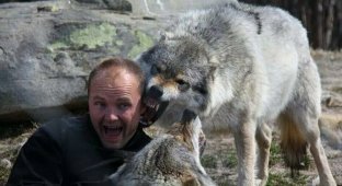 Бегущий с волками: история норвежца, ставшего настоящим альфа-самцом (9 фото + 1 видео)