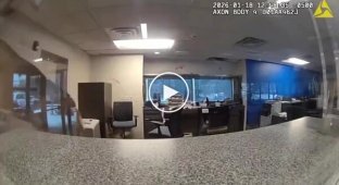 Deer wreaked havoc in American bank