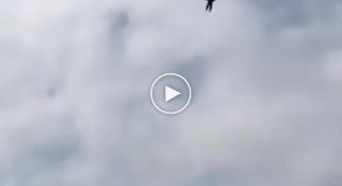 Забавное видео с парашютистом