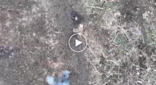 A devout occupier runs and crosses himself after surviving a Ukrainian drone strike