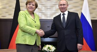 Почему встреча Меркель и Путина напоминала беседу инопланетян