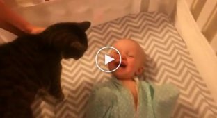 The reaction of a baby who sees a cat for the first time