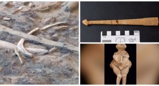 Археологи обнаружили в Брянской области святилище возрастом 23 тысячи лет (8 фото)