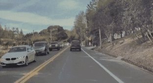 Cool gifs. Issue 2722